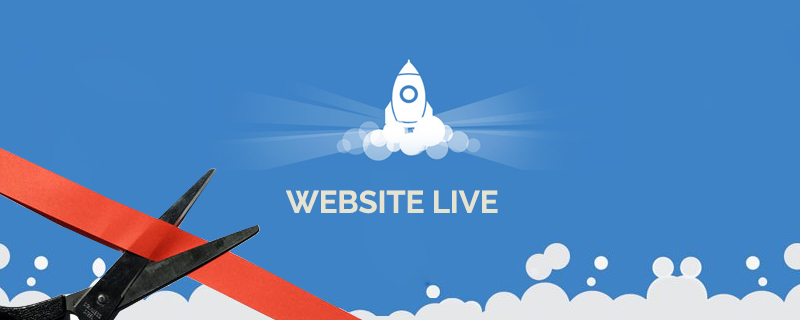 make website live