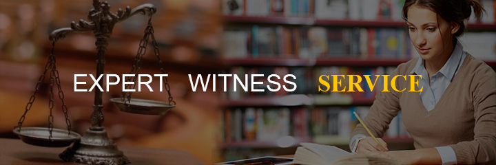 expert witness services definition