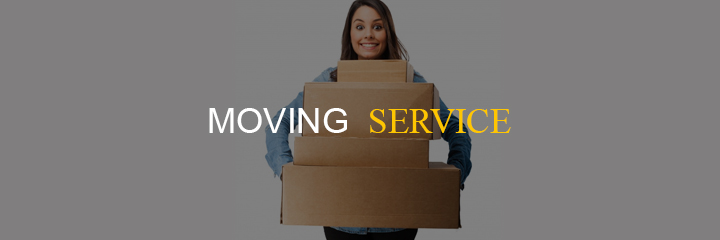 business ideas of providing moving service