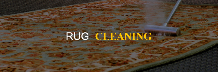 business of rug cleaning