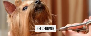 pet groomer