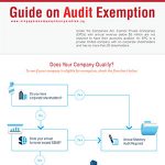 A Simple Guide on Audit Exemption in Singapore | Infographics